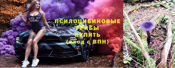бошки Аркадак