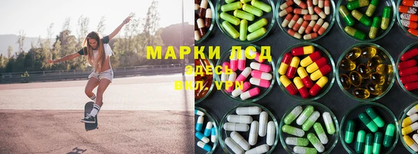 бошки Аркадак
