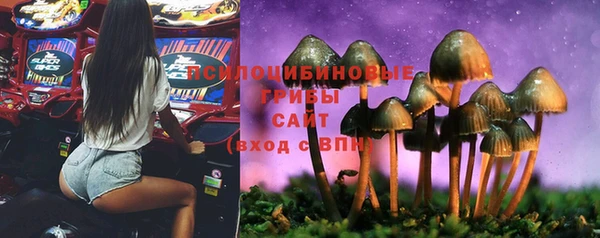 эйфоретик Арсеньев