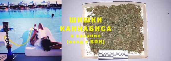 прущие крисы Чердынь