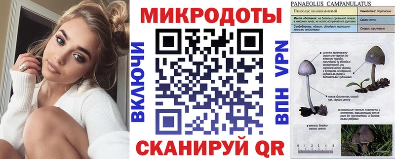 гидра зеркало  Кочубеевское  Псилоцибиновые грибы Psilocybine cubensis  купить наркотик 