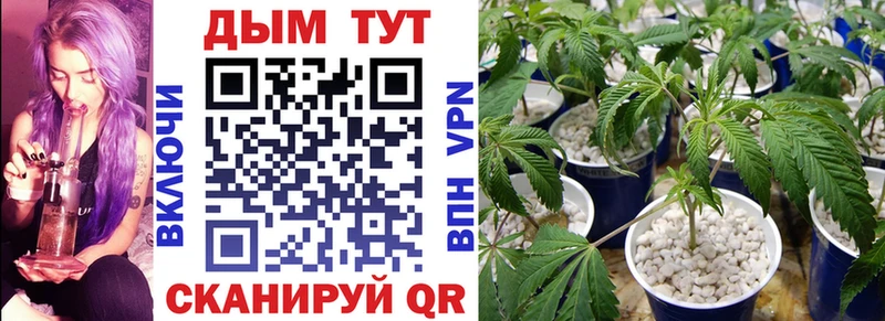 наркотики  Кочубеевское  Бошки марихуана планчик 